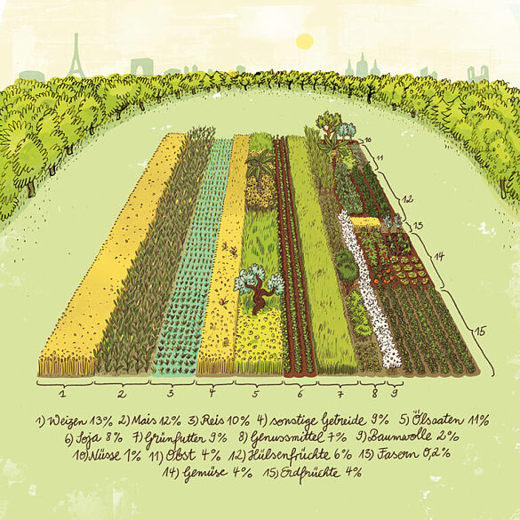 Illustration globaler Landwirtschaft: Weltacker zeigt maßstabsgetreu wie viele Hektar Ackerfläche der Erde mit welchen Pflanzen bestellt werden.