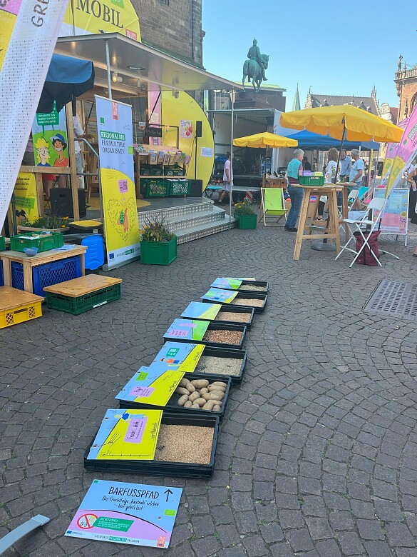 Das Foto zeigt eine Veranstaltung auf dem Domshof: Auf der Kopfsteinpflaster-Straße liegt ein Barfußpfad aus schwarzen Kisten mit verschiedenen Materialien, gekennzeichnet durch ein Schild BARFUSSPFAD. Links steht die gelbe BIO-MOBIL-Bühne mit Zelt-Dach und Regalen voller Hefte, davor schauen Menschen. Rechts gibt es Holz-Tische unter gelben Sonnenschirmen. Im Hintergrund sieht man eine alte Kirche und davor ein grünes Reiter-Denkmal.