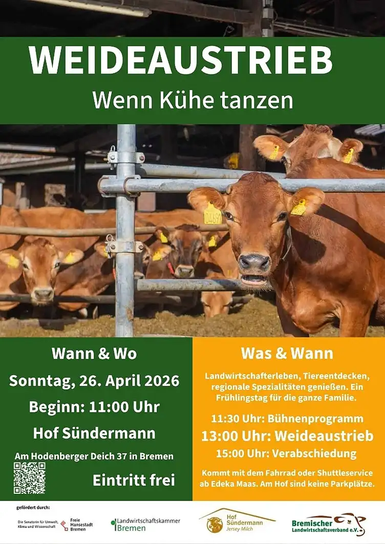 Plakat zum Weideaustrieb mit der Bildunterschrift Wenn Kühe tanzen. Es werden mehrere Kühe gezeigt, wie sie im Stall stehen und herausschauen. Die Veranstaltung findet am Sonntag, den 26. April 2026 ab 11:00 Uhr auf dem Hof Sündermann in Bremen statt. Der Eintritt ist frei. 