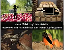 Das Bild zeigt die Wertschöpfungskette in drei Stufen und verweist auf die Rubrik Interviews mit Akteur:innen der Wertschöpfungskette.