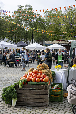 Das Bild zeigt eine lebendige Szene vom Bio-Marktfest. Im Vordergrund ist farbenfrohes Gemüse zu sehen.