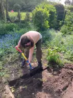 Kitakind bei der Kartoffelaussaat