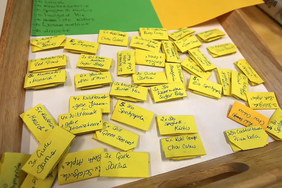 Das Bild zeigt viele kleine Papiert&uuml;ten, in denen sich Saatgut befindet.