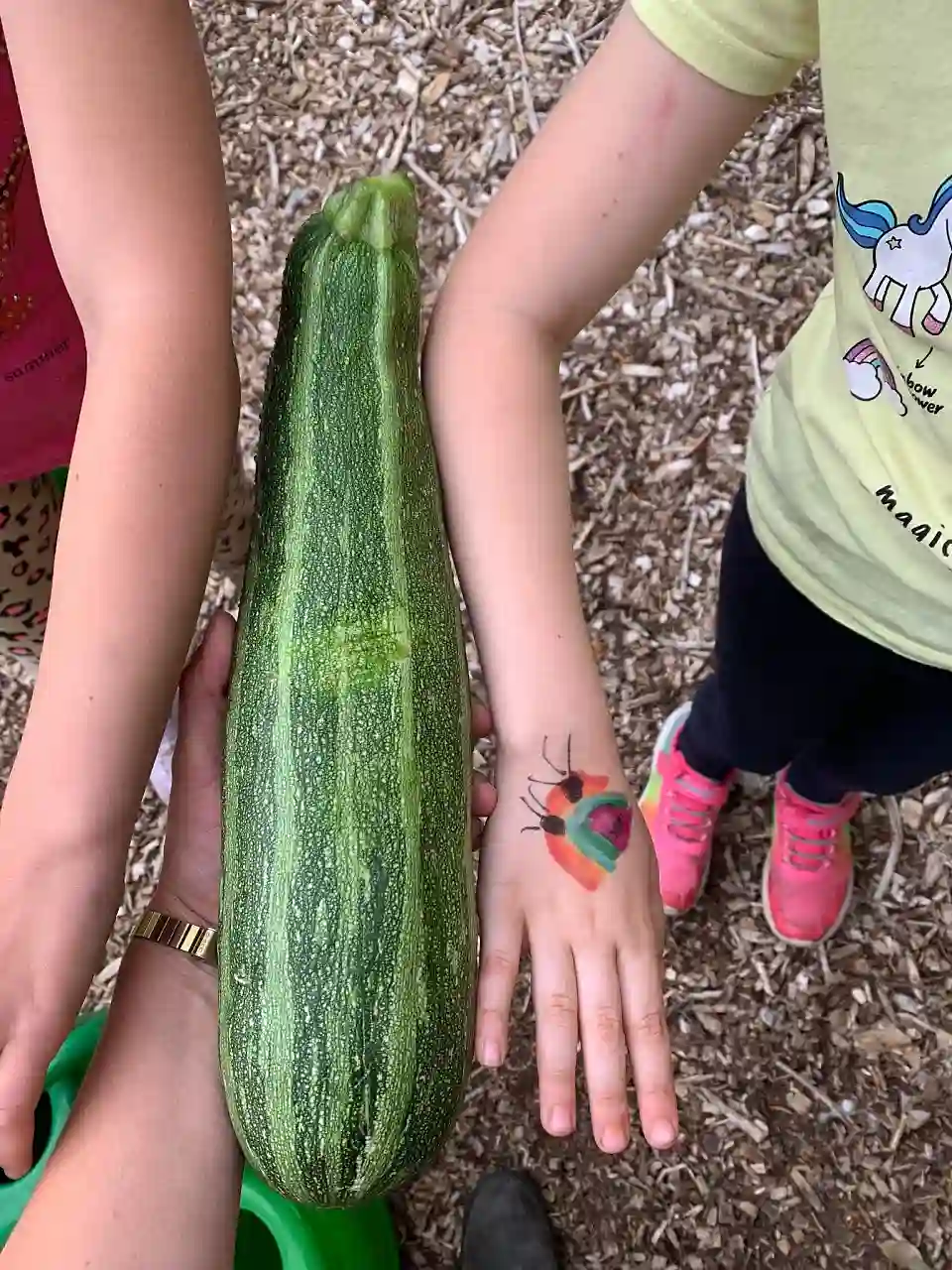 Das Bild zeigt zwei Kinderunterarme. Dazwischen liegt eine Zucchini, die genauso lang ist wie die Arme.