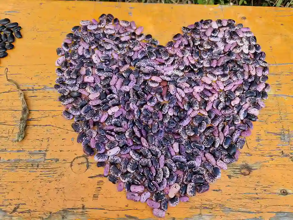 Ein Herz aus Feuerbohnen