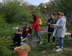 Fortbildung pädagogische Fachkräfte: Das Bild zeigt pädagogische Fachkräfte, die sich in einem Garten mit Hochbeeten während eines Workshops zum Thema nachhaltige Ernährung befinden. 
˜ Bildnachweis: Hans-Wendt-Stiftung