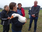 Furthhof: Gwendoly Manek mit Gans und Besucher:Innen.