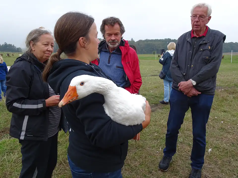 Furthhof: Gwendoly Manek mit Gans und Besucher:Innen.