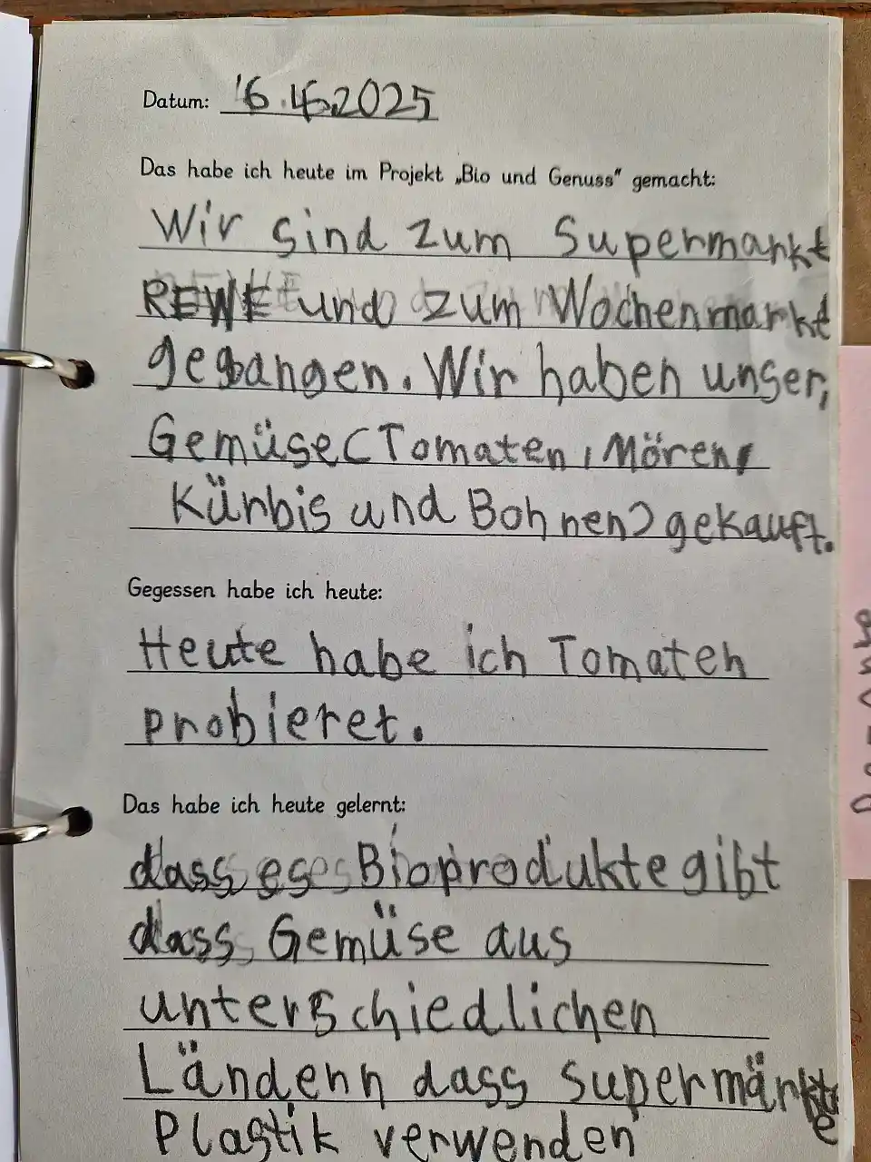 Gartentagebuch