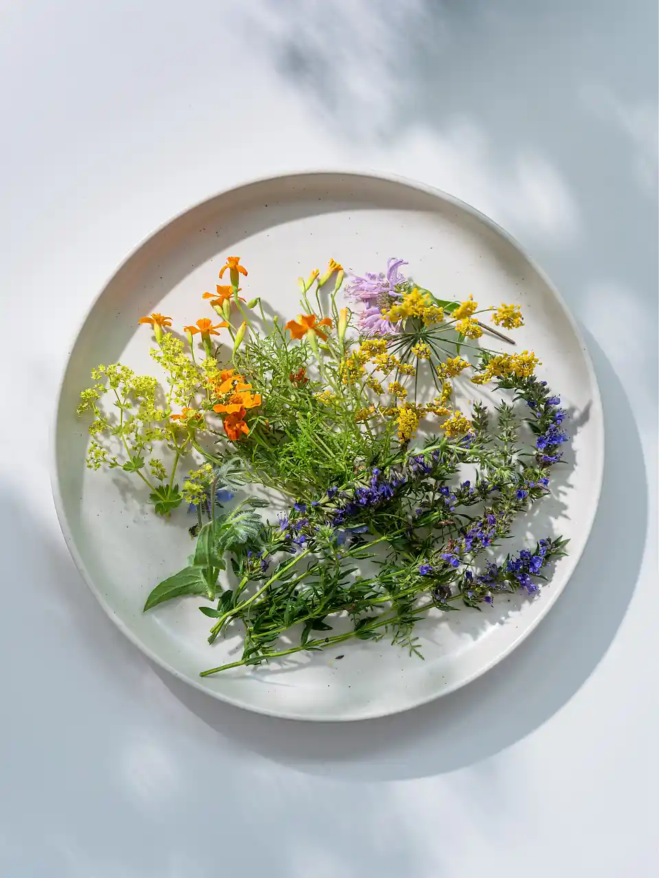 Das Bild zeigt einen wei&szlig;en, minimalistischen Teller, auf dem verschiedene frische Kr&auml;uter und essbare Bl&uuml;ten arrangiert sind.