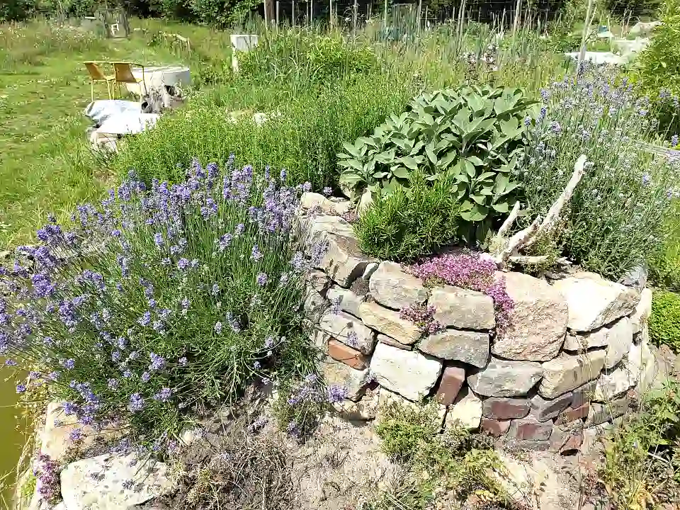 Kr&auml;uterspirale im Fleetgarten