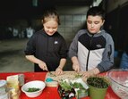 Zwei Kinder schneiden konzentriert Kräuter und Kresse mit Messern an einem Tisch. 
˜ Bildnachweis: Verein Sozialökologie e.V.