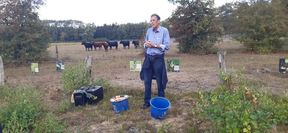 Biohof Blumenthal: Ulli Vey und seine Rinder.